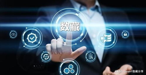 數(shù)字藏品系統(tǒng)開(kāi)發(fā) 數(shù)藏app nft系統(tǒng)定制開(kāi)發(fā)