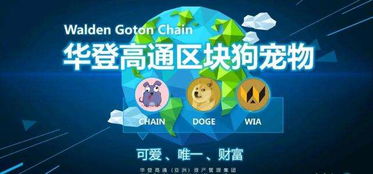 區(qū)塊狗app開(kāi)發(fā)定制系統(tǒng)