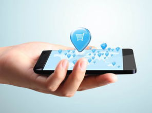 app開發(fā) 2016年愛貝兒app開發(fā)最新價格