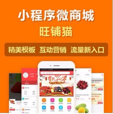 西安小程序開發 app軟件定制 app定制開發 小程序軟件系統 APP商城圖片_高清圖_細節圖