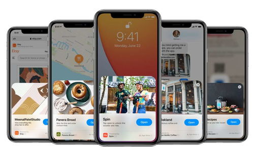 系統(tǒng)集成 發(fā)展空間依然廣闊，商城網(wǎng)站與App定制前景可期