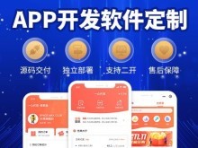 重慶應用軟件開發